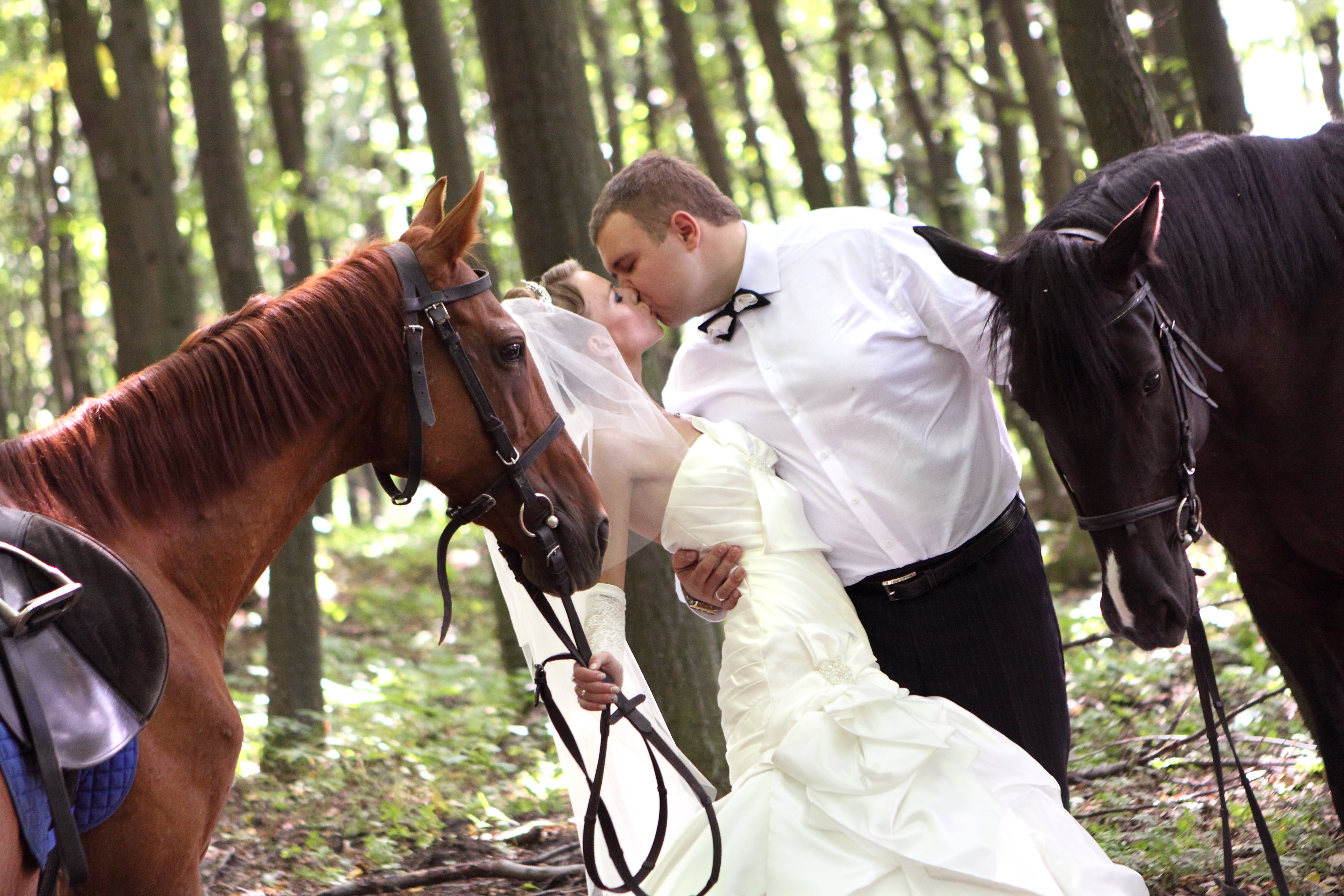 Western Wedding Horse Tips
